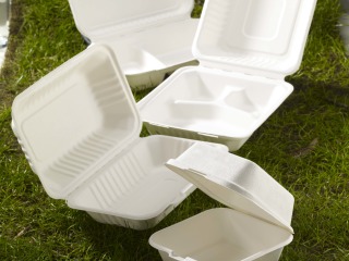 SUGARCANE FOOD CONTAINERS 